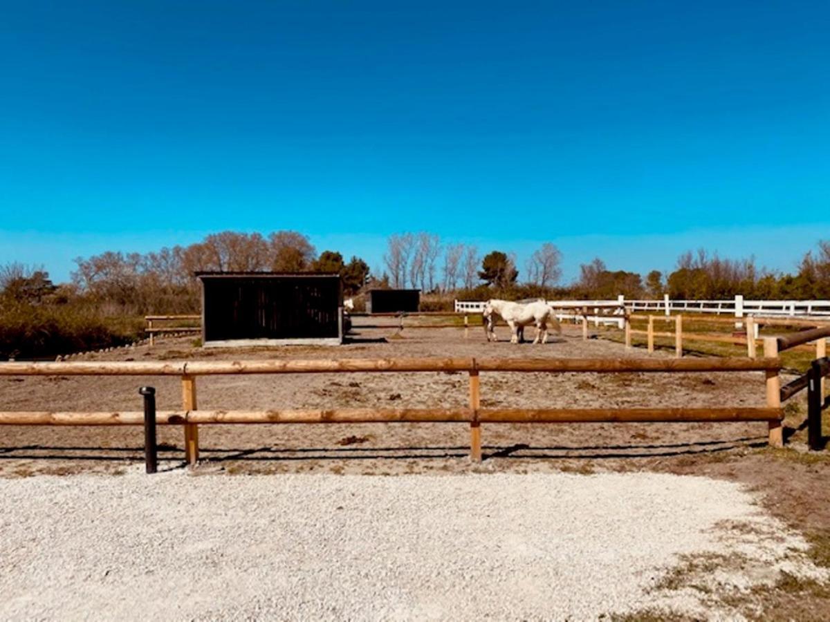 Mas Lou Caloun - Chambre D'Hote Face A La Piscine En Camargue - Les Saintes Maries De La Mer Exterior foto
