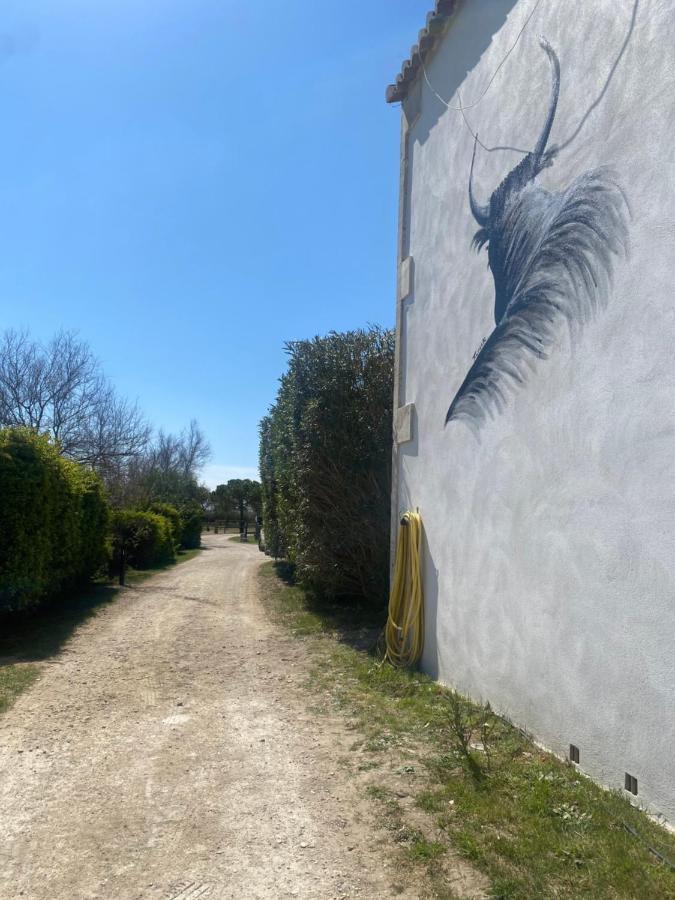 Mas Lou Caloun - Chambre D'Hote Face A La Piscine En Camargue - Les Saintes Maries De La Mer Exterior foto